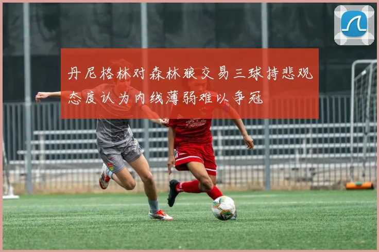 丹尼格林对森林狼交易三球持悲观态度认为内线薄弱难以争冠