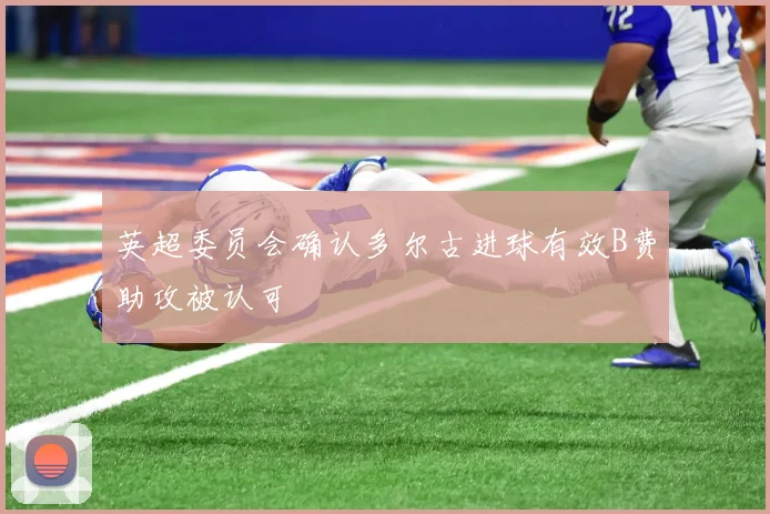 英超委员会确认多尔古进球有效B费助攻被认可