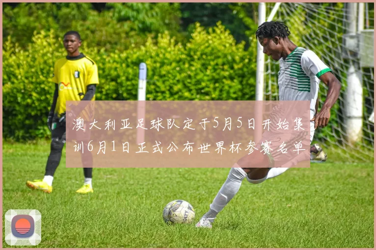 澳大利亚足球队定于5月5日开始集训6月1日正式公布世界杯参赛名单