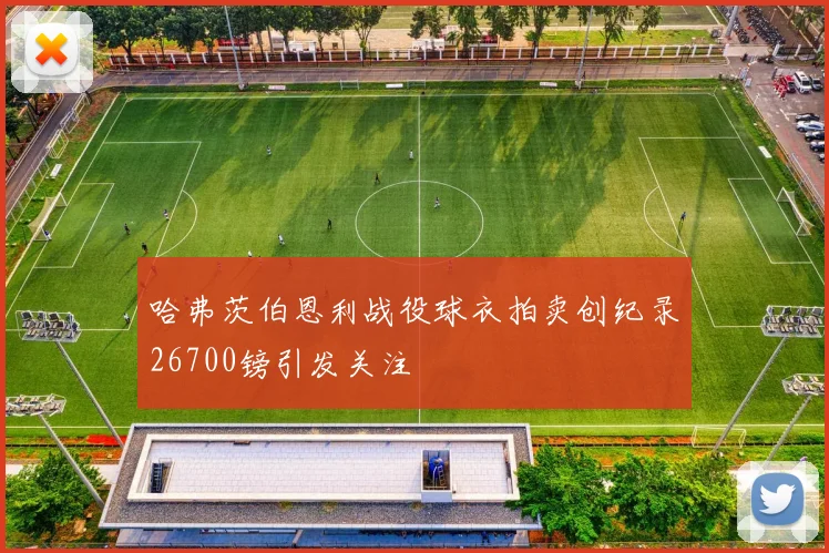 哈弗茨伯恩利战役球衣拍卖创纪录26700镑引发关注